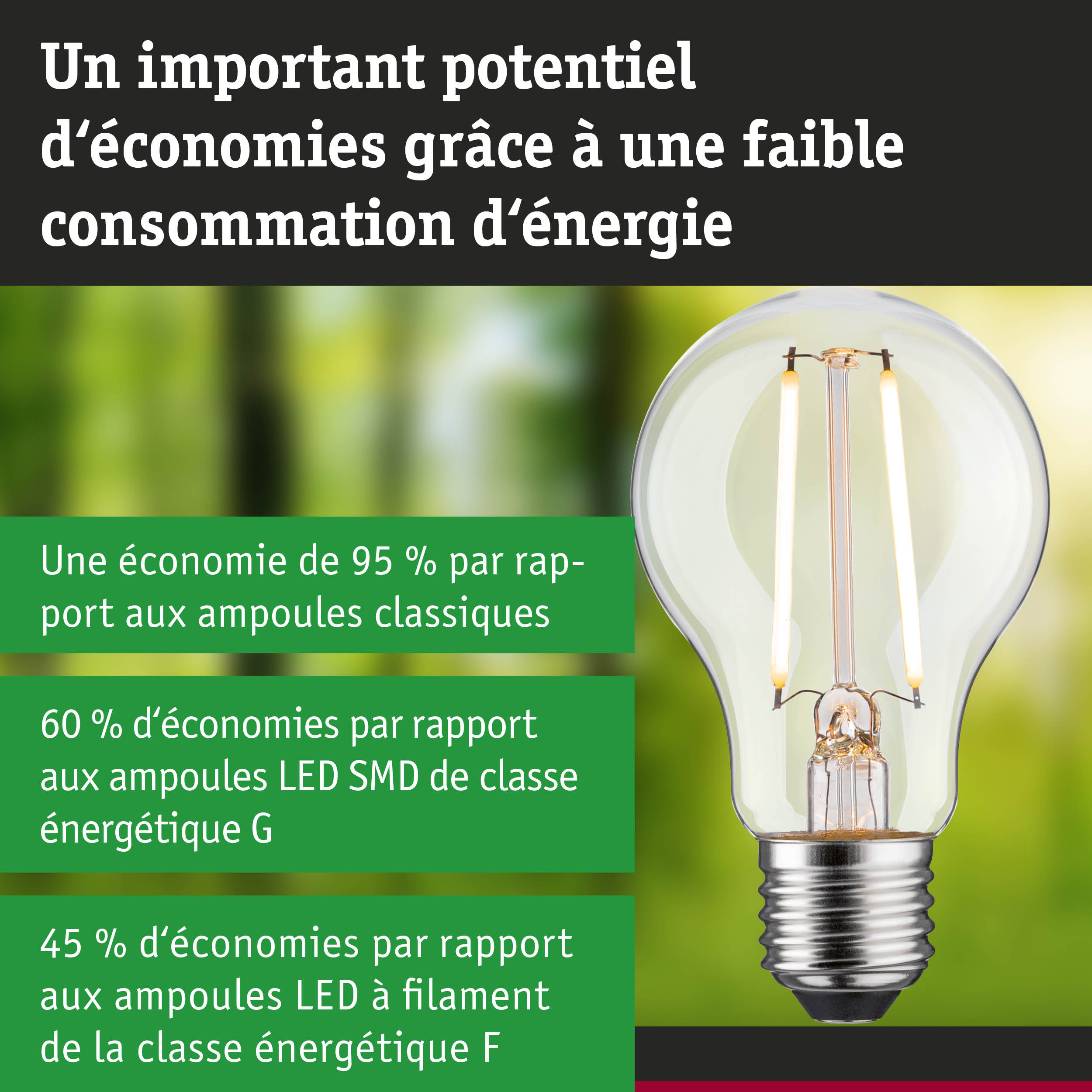 Ampoule LED transparente avec culot E27 et technologie économique sur fond vert-bleu