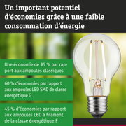 Ampoule LED transparente avec culot E27 et technologie économique sur fond vert-bleu