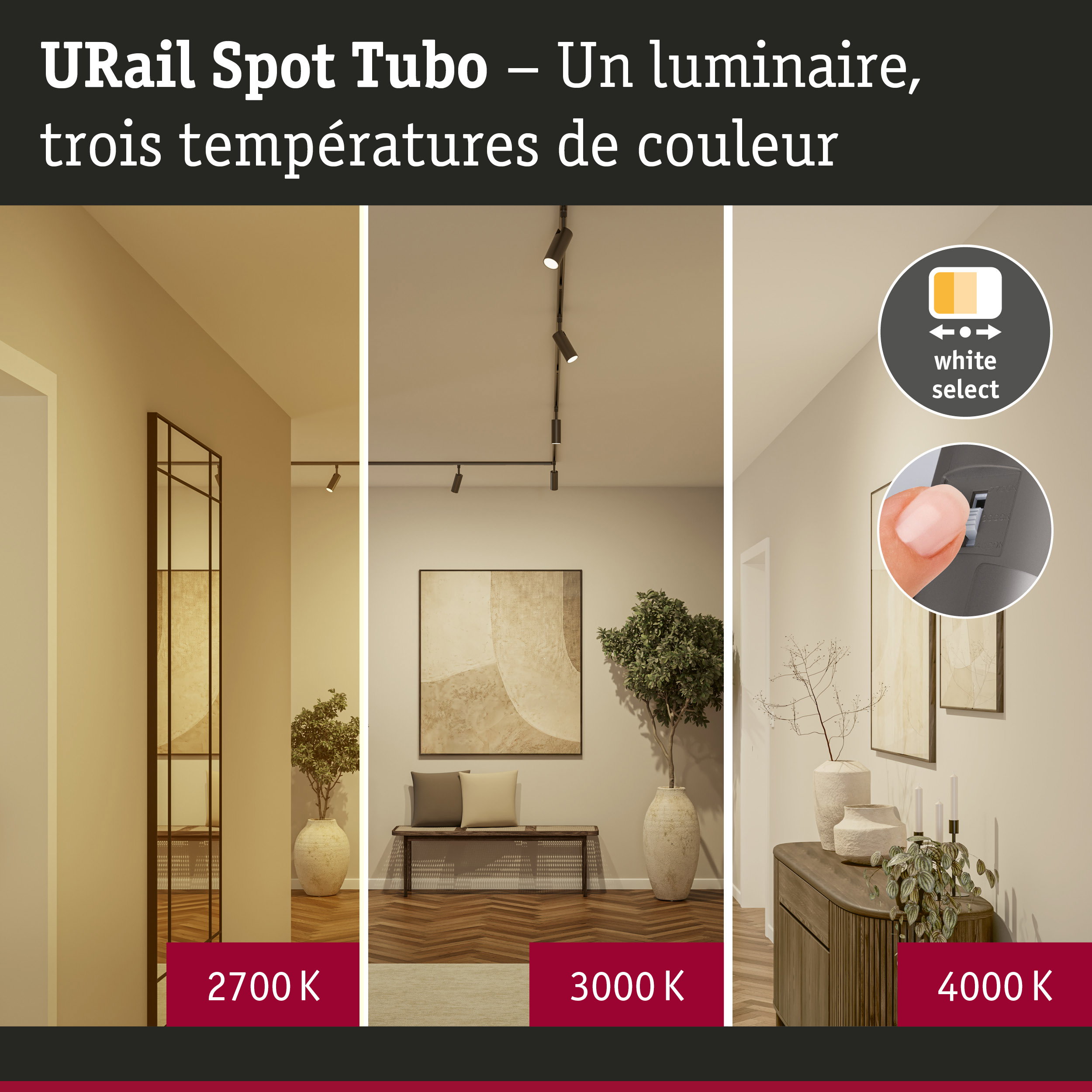 URail Spot sur rail Tubo Spot individuel 250lm 3,3W White Select gradable 230V Titanium