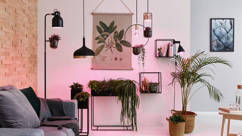 Paulmann Wohnraumleuchten Trend: Urban Jungle Beleuchtete Pflanzen mit Wohnraumleuchten