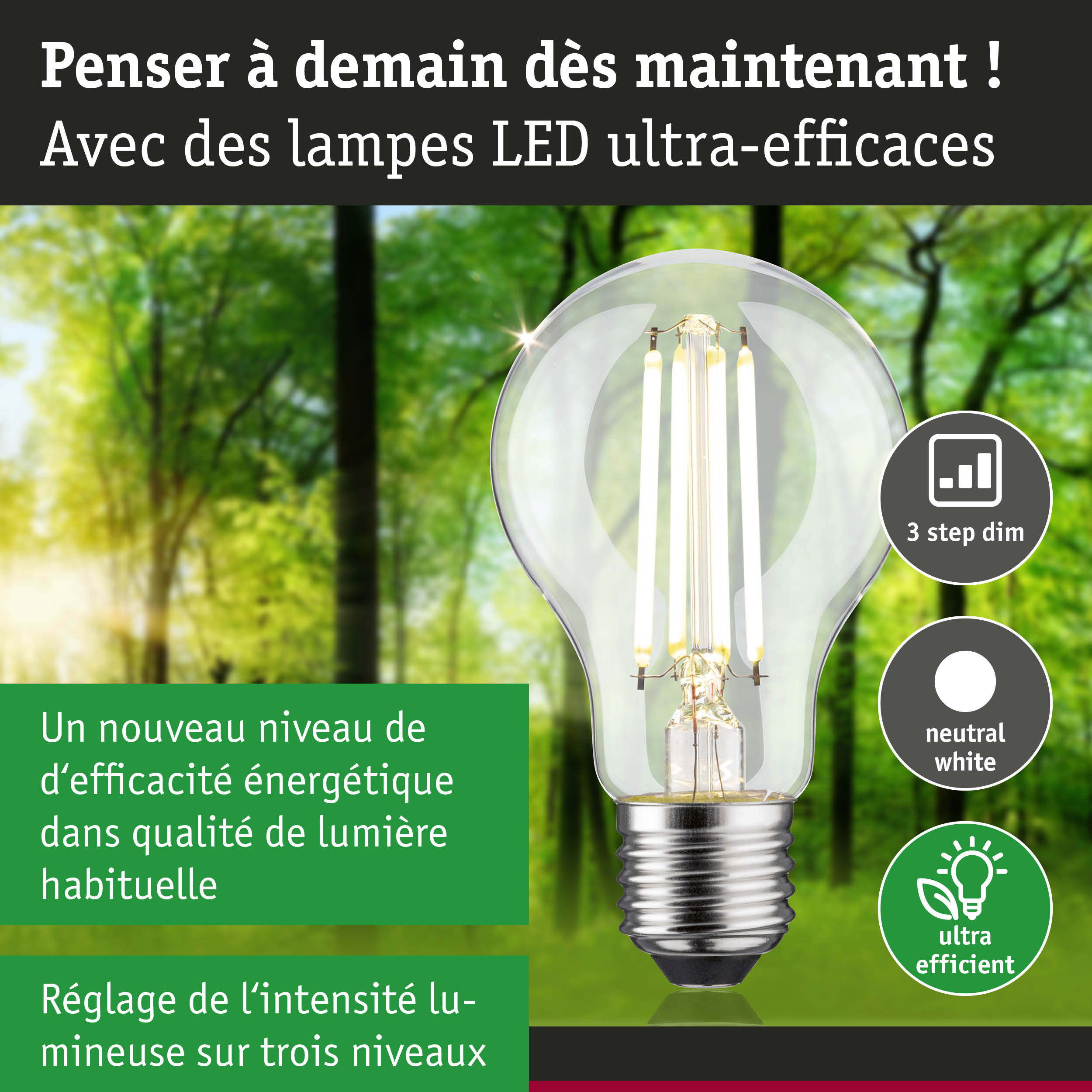 Ampoule LED claire avec lumière blanc neutre et gradation 3 niveaux pour éclairage économe en énergie