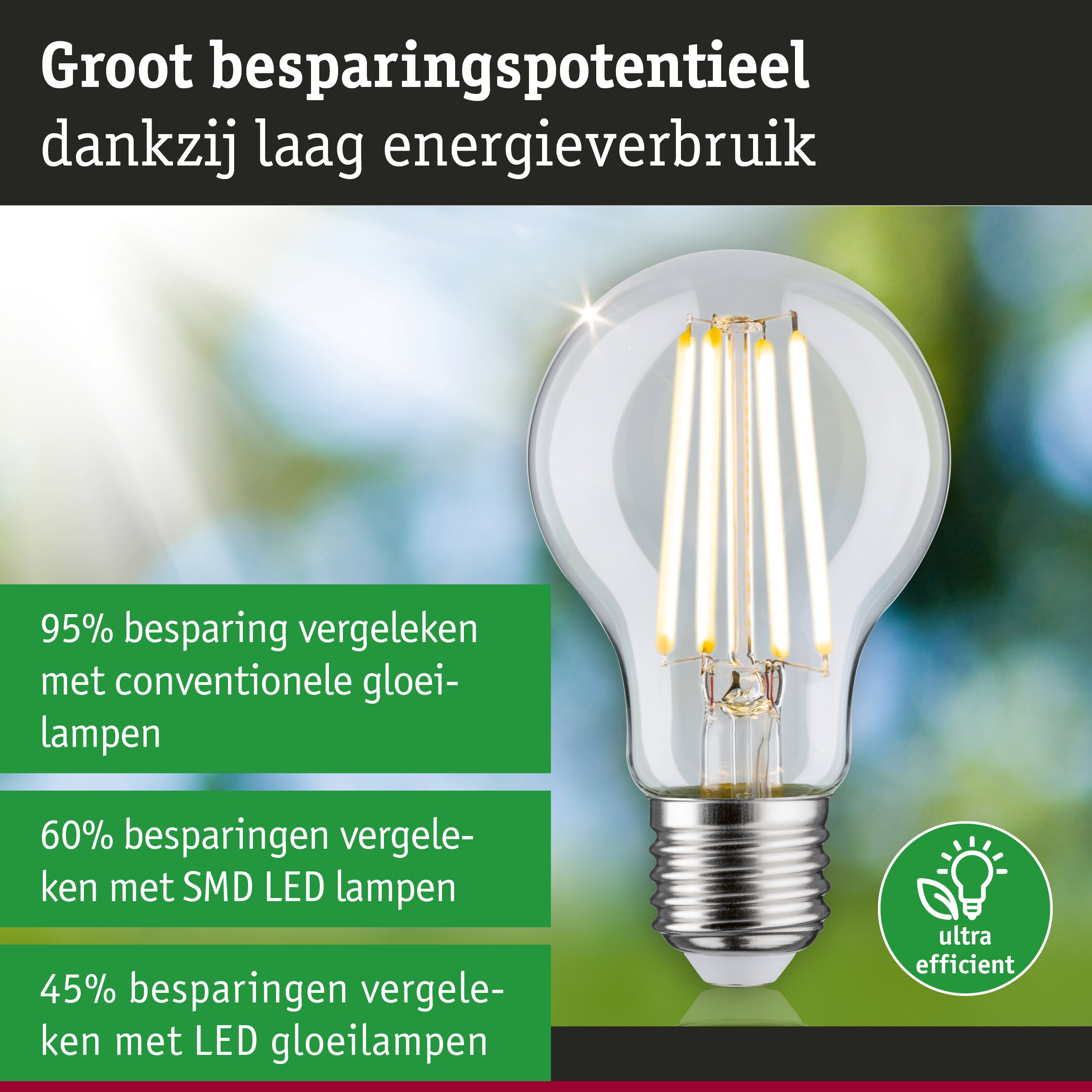 Energiezuinige LED-gloeilamp met helder glas en zilveren fitting voor duurzame verlichting