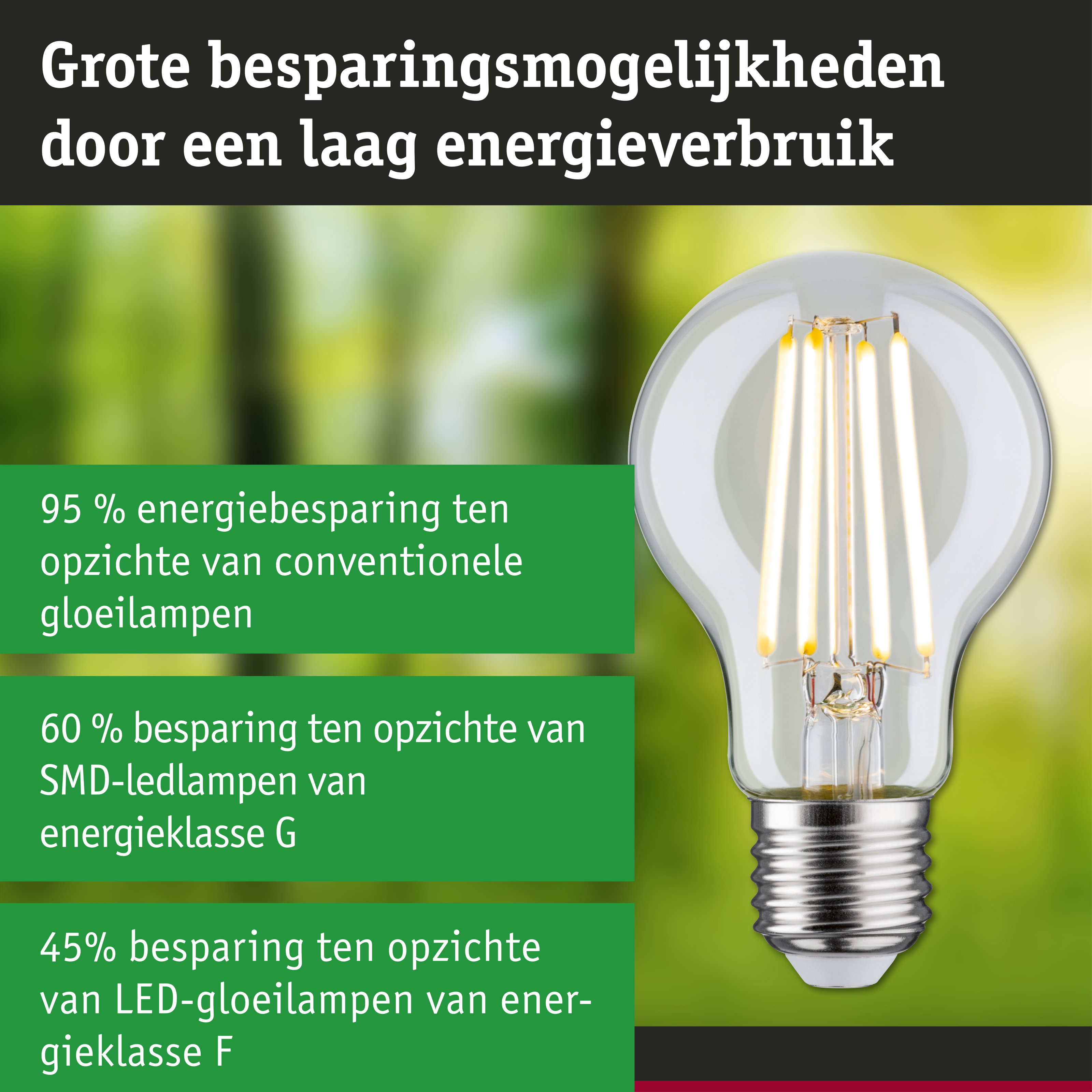 Energiezuinige LED-gloeilamp met helder glas en zilveren fitting voor duurzame verlichting