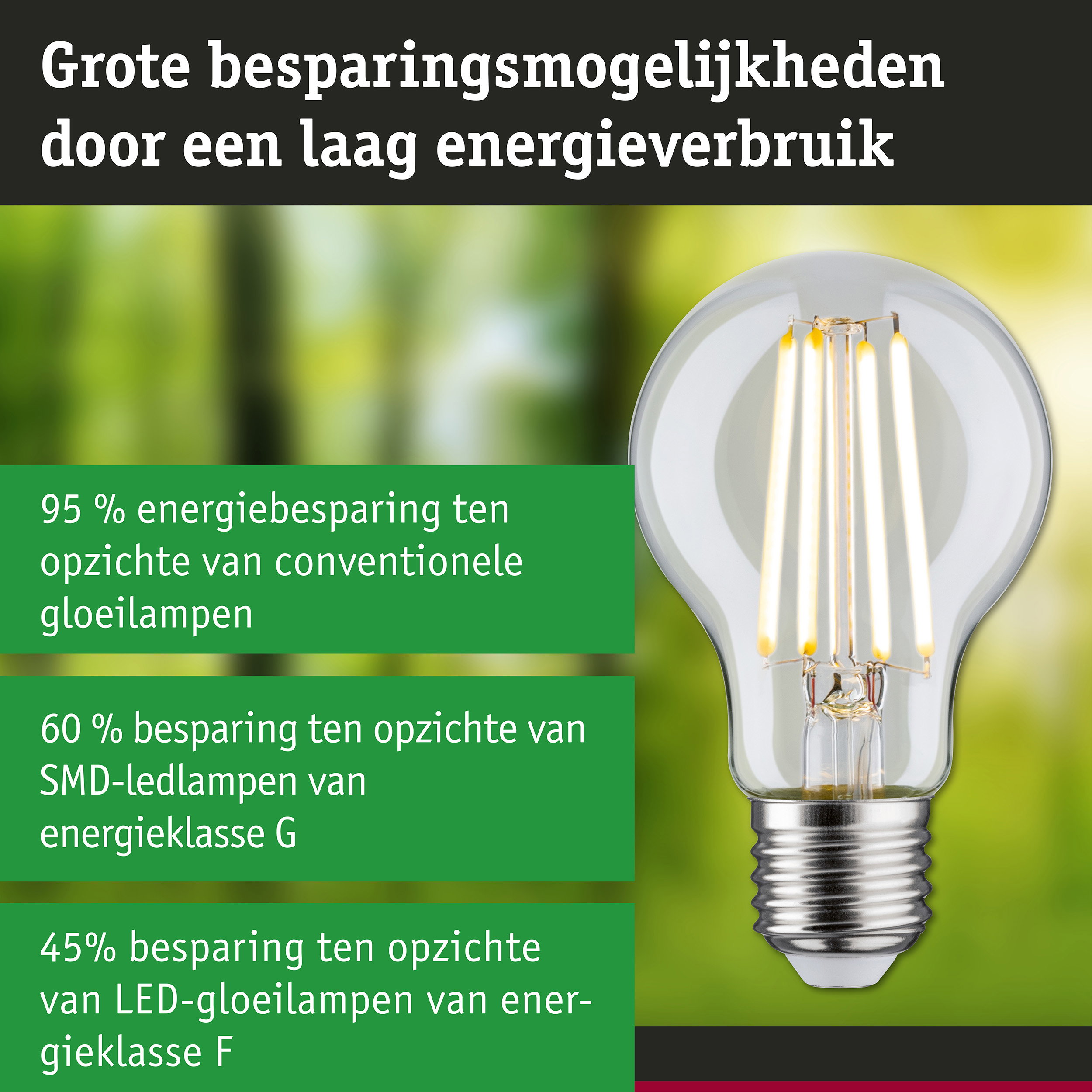 Energiezuinige LED-gloeilamp met helder glas en zilveren fitting voor duurzame verlichting