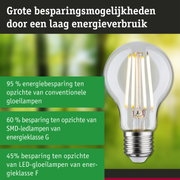 Energiezuinige LED-gloeilamp met helder glas en zilveren fitting voor duurzame verlichting