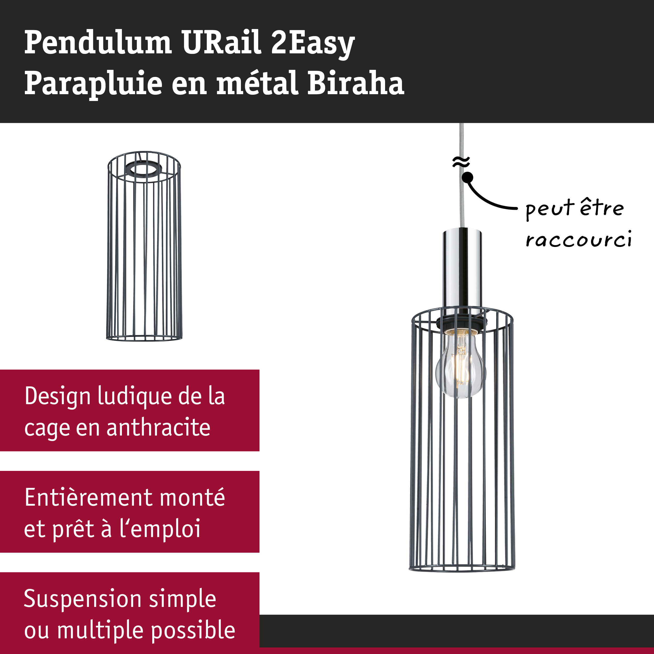Suspension URail 2Easy Biraha en métal anthracite avec cage design et ampoule LED visible pour éclairage moderne