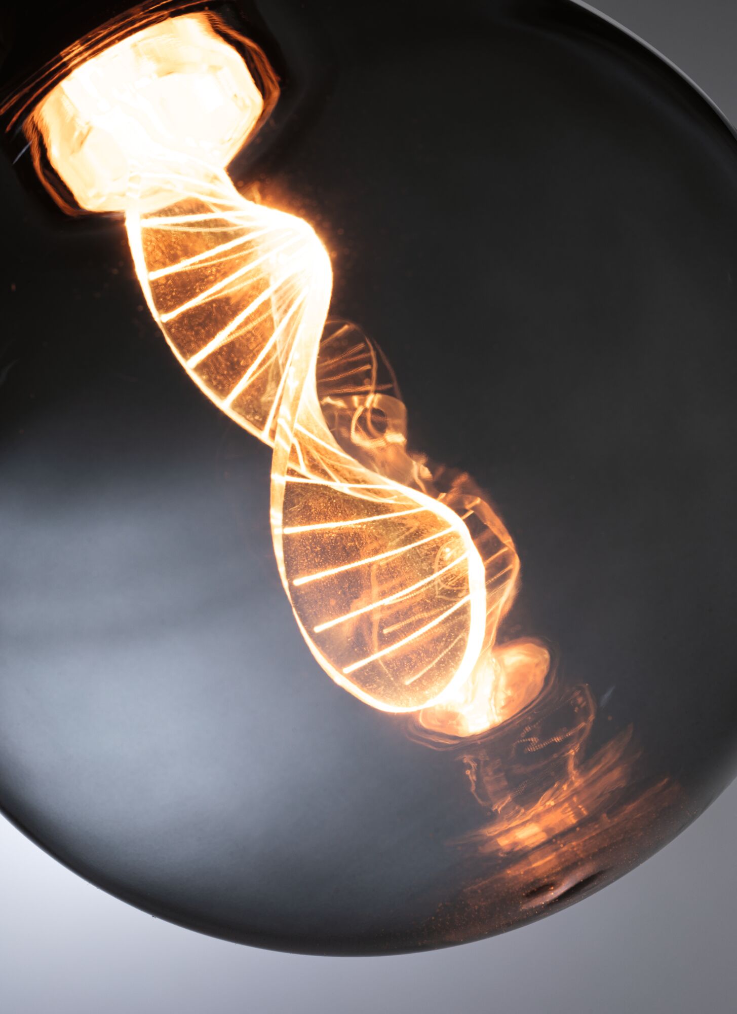 Glowing spiral filament bulb with warm white light in black glass housing for decorative lighting