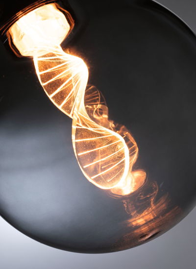 Leuchtende Spiralfaden-Glühbirne mit warmweißem Licht in schwarzer Glashülle für dekorative Beleuchtung