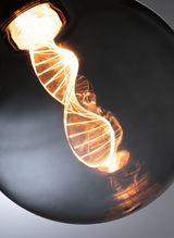 Glowing spiral filament bulb with warm white light in black glass housing for decorative lighting