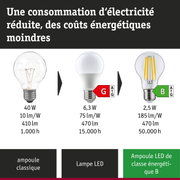 Comparaison ampoule incandescente, lampe LED et lampe LED ultra-efficace avec consommation et durée de vie