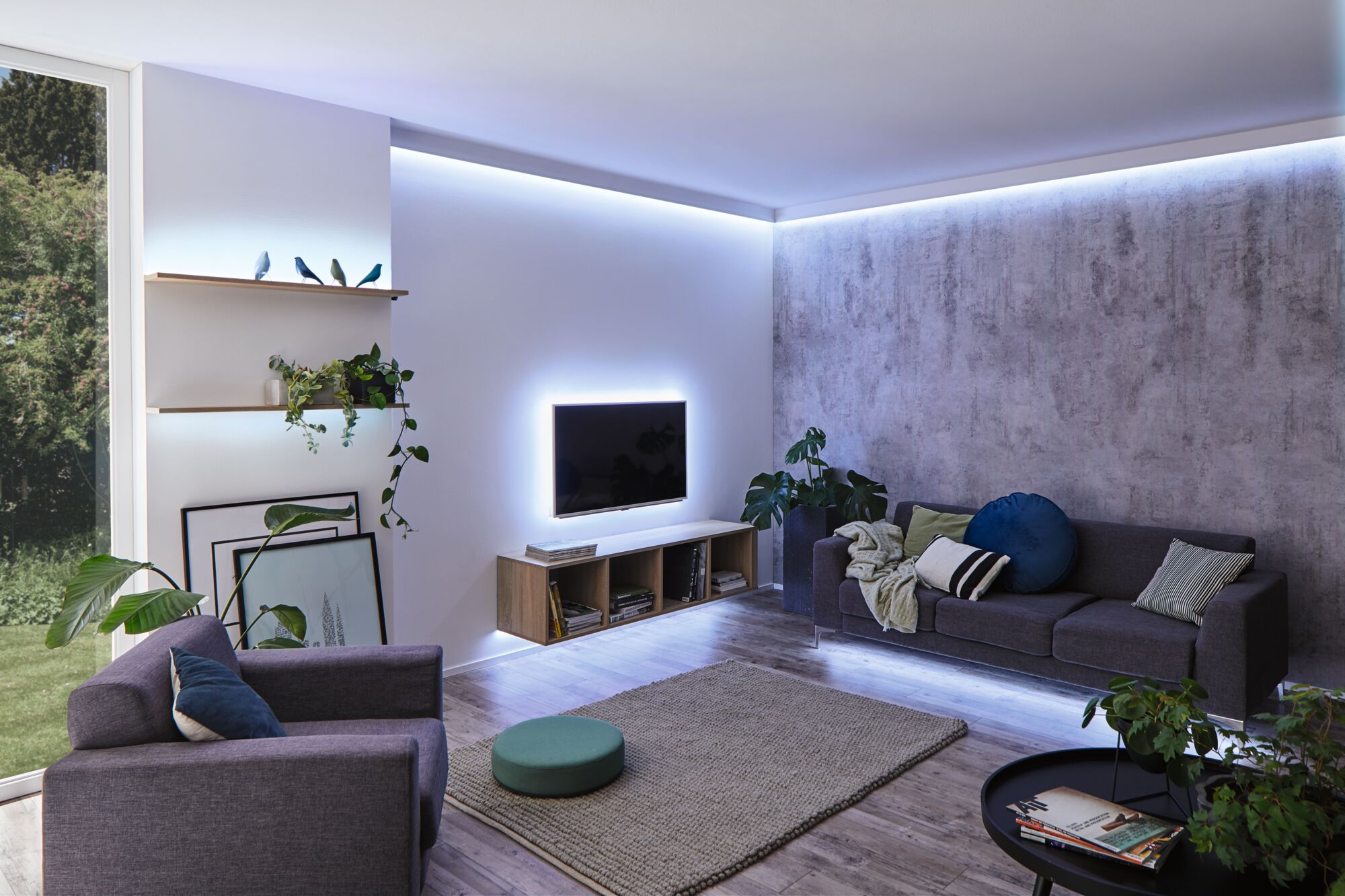 Salon moderne avec éclairage LED blanc, canapé gris, étagères en bois et plantes d'intérieur.