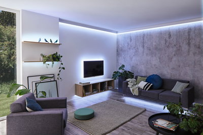 Salon moderne avec éclairage LED blanc, canapé gris, étagères en bois et plantes d'intérieur.