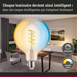 Ampoule dimmable avec température de couleur blanche réglable en tons chauds et froids pour intérieur