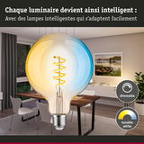 Ampoule dimmable avec température de couleur blanche réglable en tons chauds et froids pour intérieur