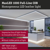 Modern office featuring MaxLED 1000 Full-Line COB white LED ceiling light for uniform illumination