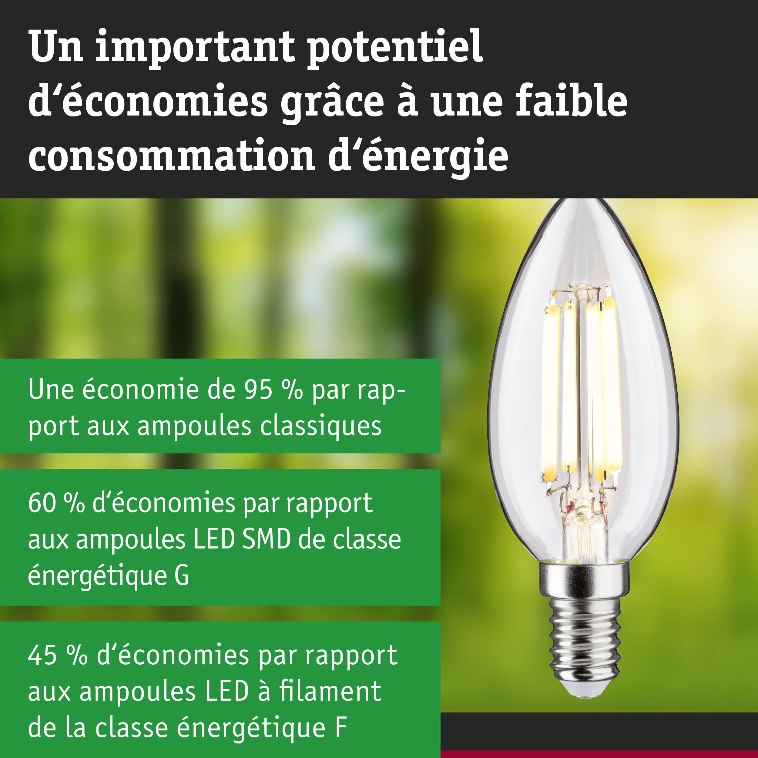 Ampoule LED économique en verre transparent avec culot à vis pour éclairage durable