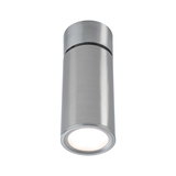 Moderne plafondspot van geborsteld roestvrij staal met rond ontwerp en warm wit LED-licht