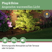 Garten mit grünem Busch und lila Blumen beleuchtet von warmweißem Plug & Shine Licht für Terrasse