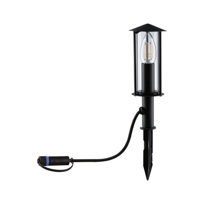 Black LED garden light with ground spike and clear glass for outdoor garden lighting.