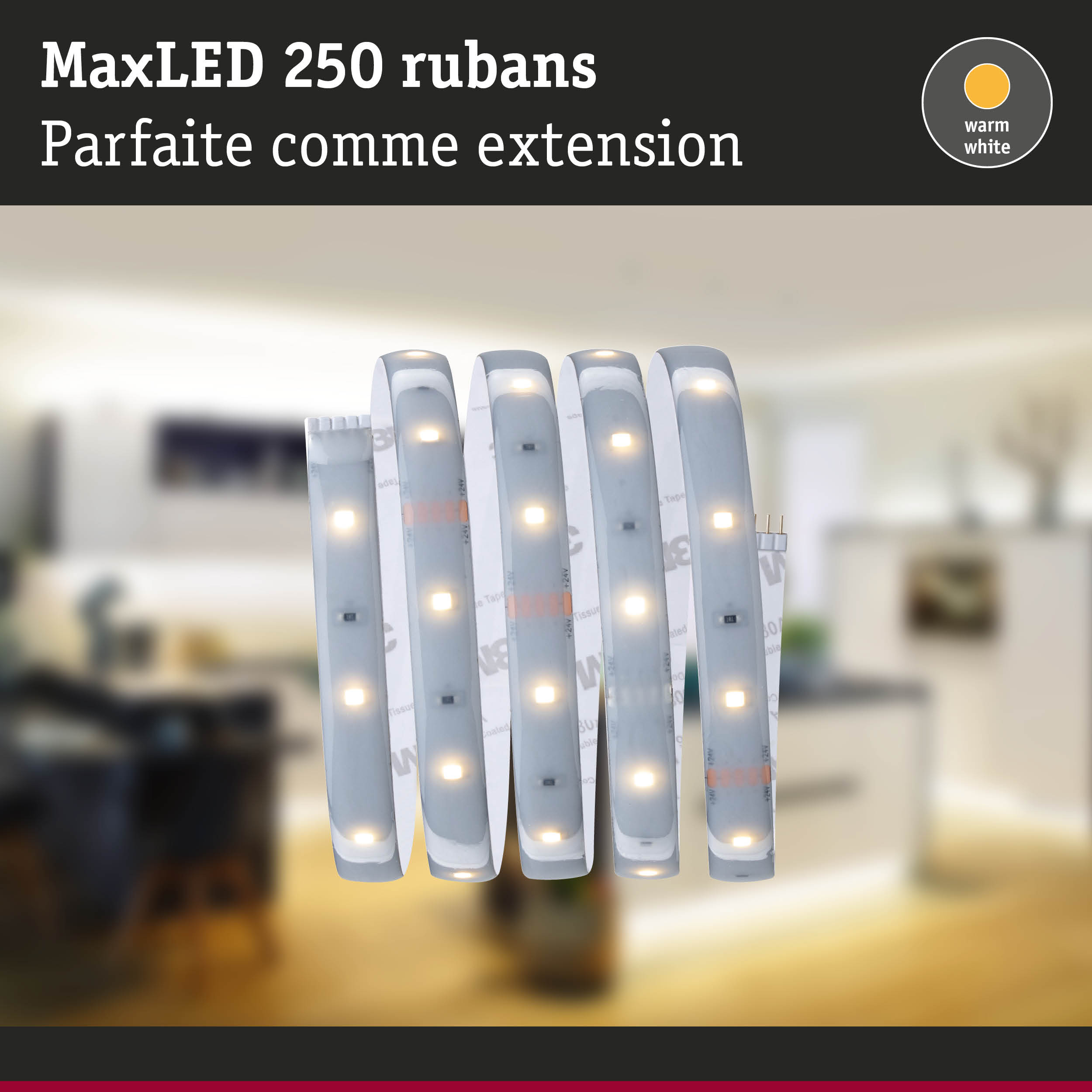 Bande LED MaxLED 250 en blanc chaud, extension flexible pour éclairage LED moderne