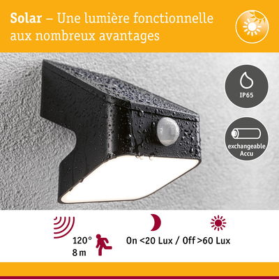 Lumière solaire noire extérieure avec détecteur de mouvement, étanche IP65 et batterie rechargeable amovible