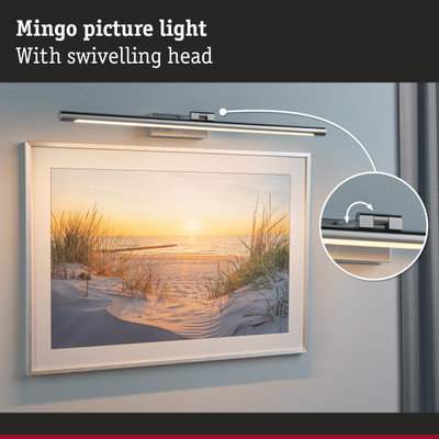 Mingo picture light in brushed silver metal with swivelling head for wall art illumination