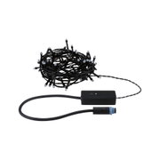 Schwarze LED-Lichterkette mit Steuerbox und Anschlusskabel für Außenbeleuchtung und Dekoration