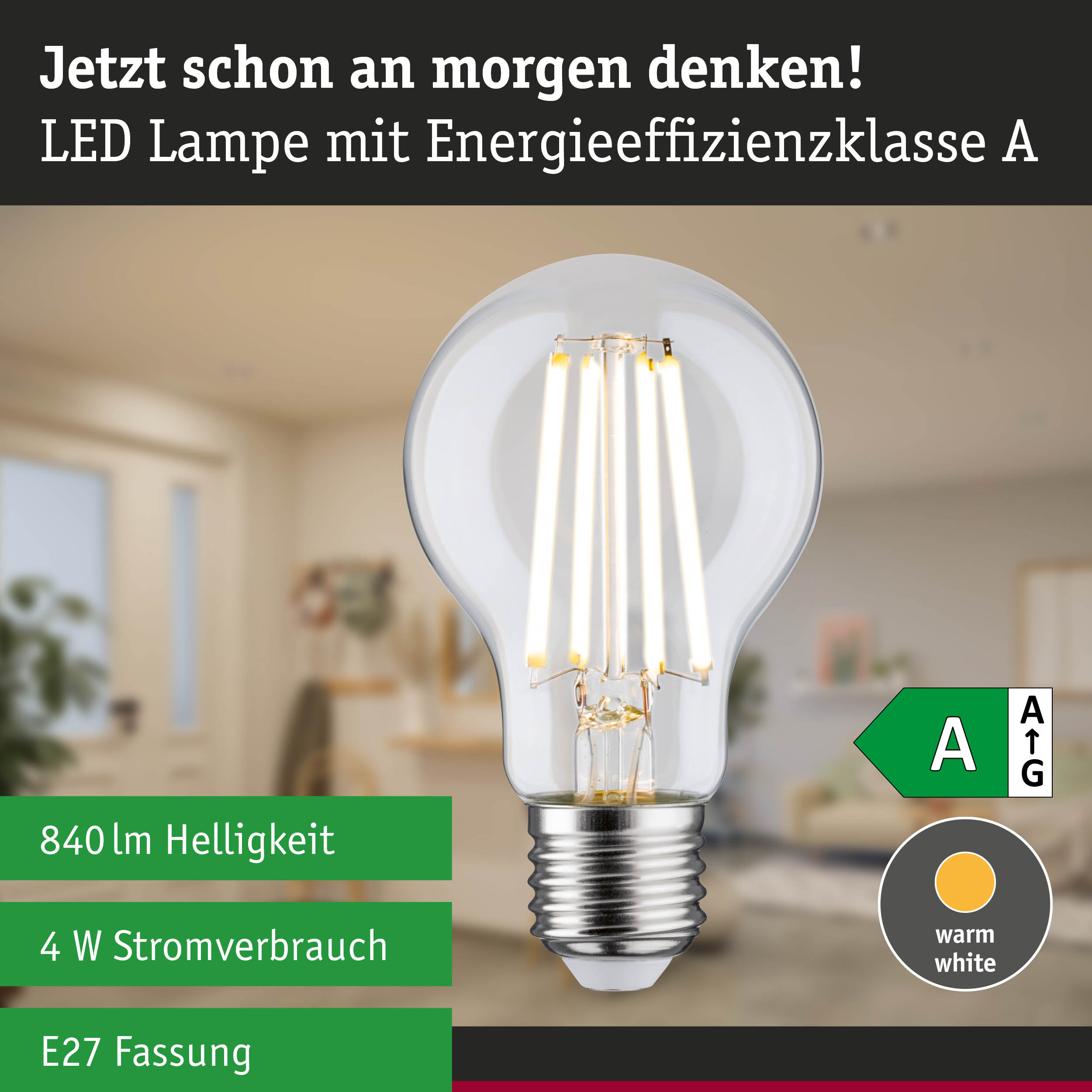 Efficient-Line Filament 230V LED Birne E27 1er-Set 840lm 4W 3000K Klar