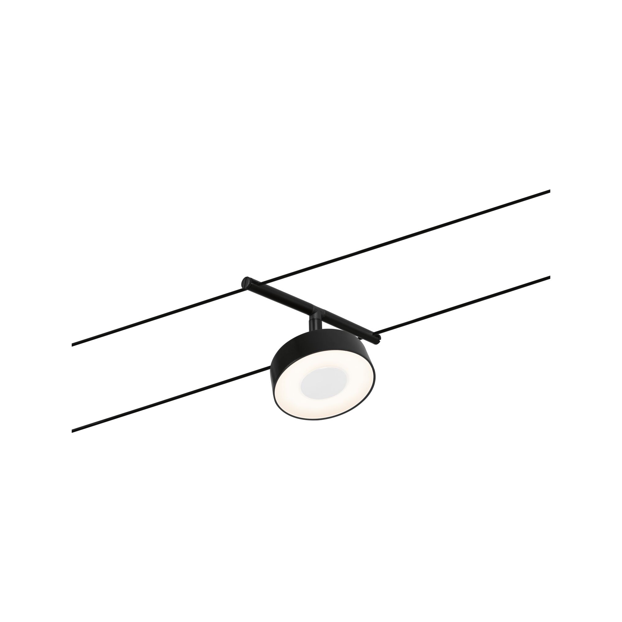 Schwarze LED-Seilstrahlerleuchte mit rundem, weißem Diffusor für moderne Raumbeleuchtung
