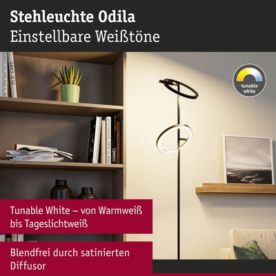 Stehleuchte Odila mit einstellbaren Weißtönen und satinierter Diffusor für blendfreies Licht im Wohnzimmer