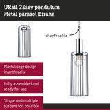 Anthracite metal cage pendant light, shorten able cable, suitable for single or multiple suspension lighting