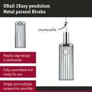 Anthracite metal cage pendant light with shorten cable for modern interior lighting design