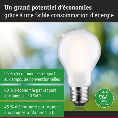 Ampoule LED blanche ultra efficace avec jusqu’à 95 % d’économie d’énergie par rapport aux ampoules classiques