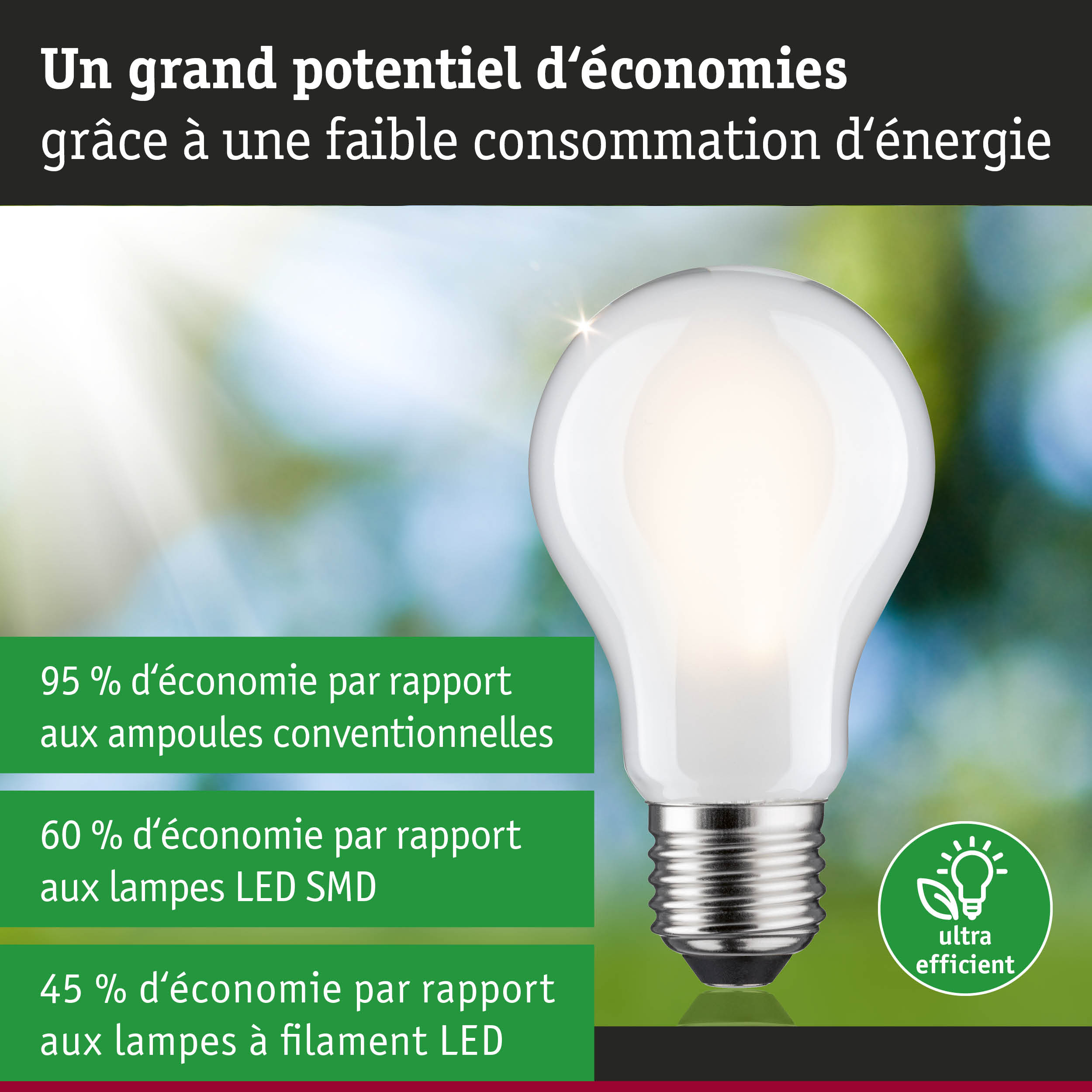Ampoule LED blanche économique en énergie avec corps en plastique et base métallique pour éclairage durable