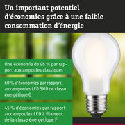 Ampoule LED blanche économique en énergie avec corps en plastique et base métallique pour éclairage durable