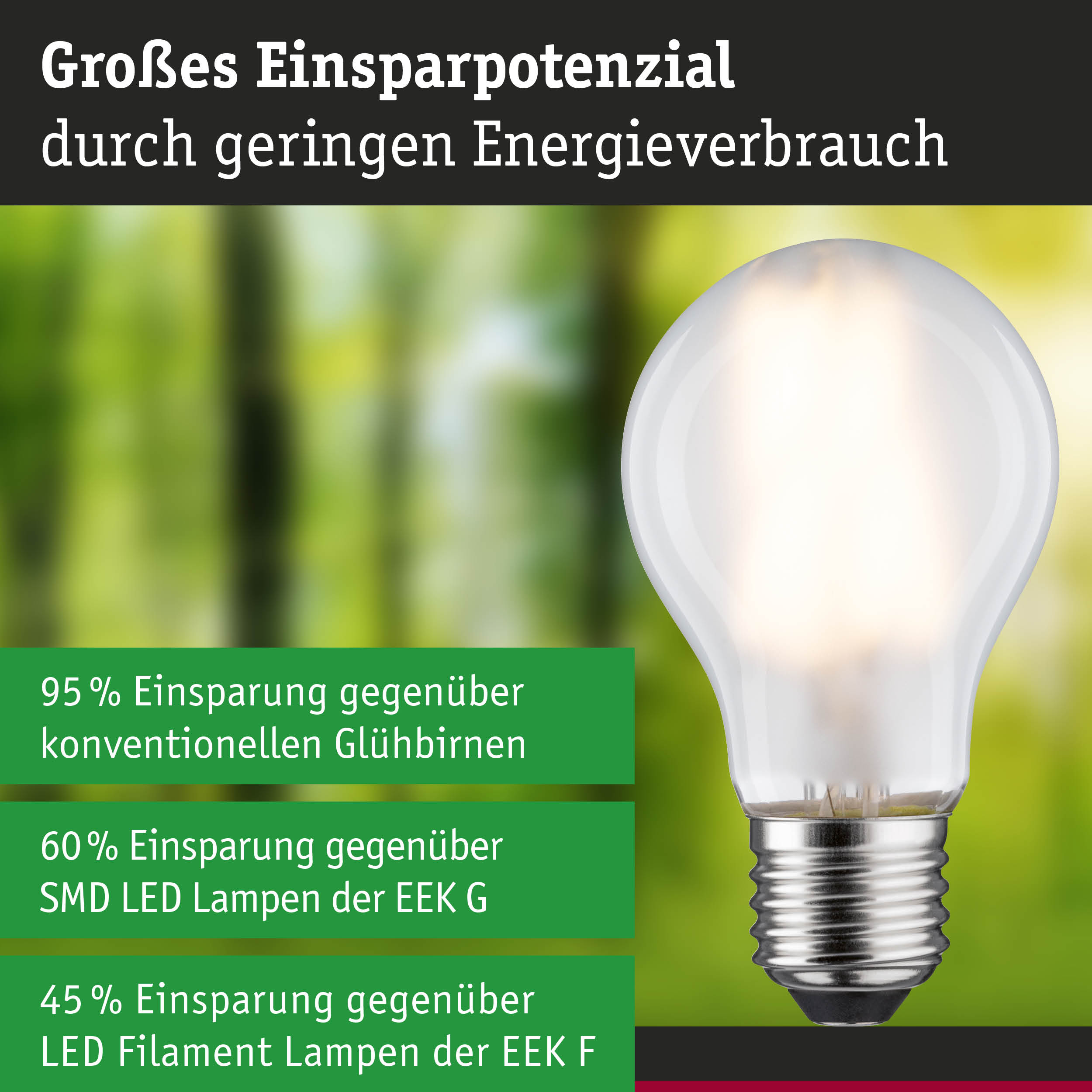 Efficient-Line Filament 230V LED Birne E27 Einzelleuchte 525lm 2,5W 3000K Matt