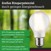 Efficient-Line Filament 230V LED Birne E27 Einzelleuchte 525lm 2,5W 3000K Matt