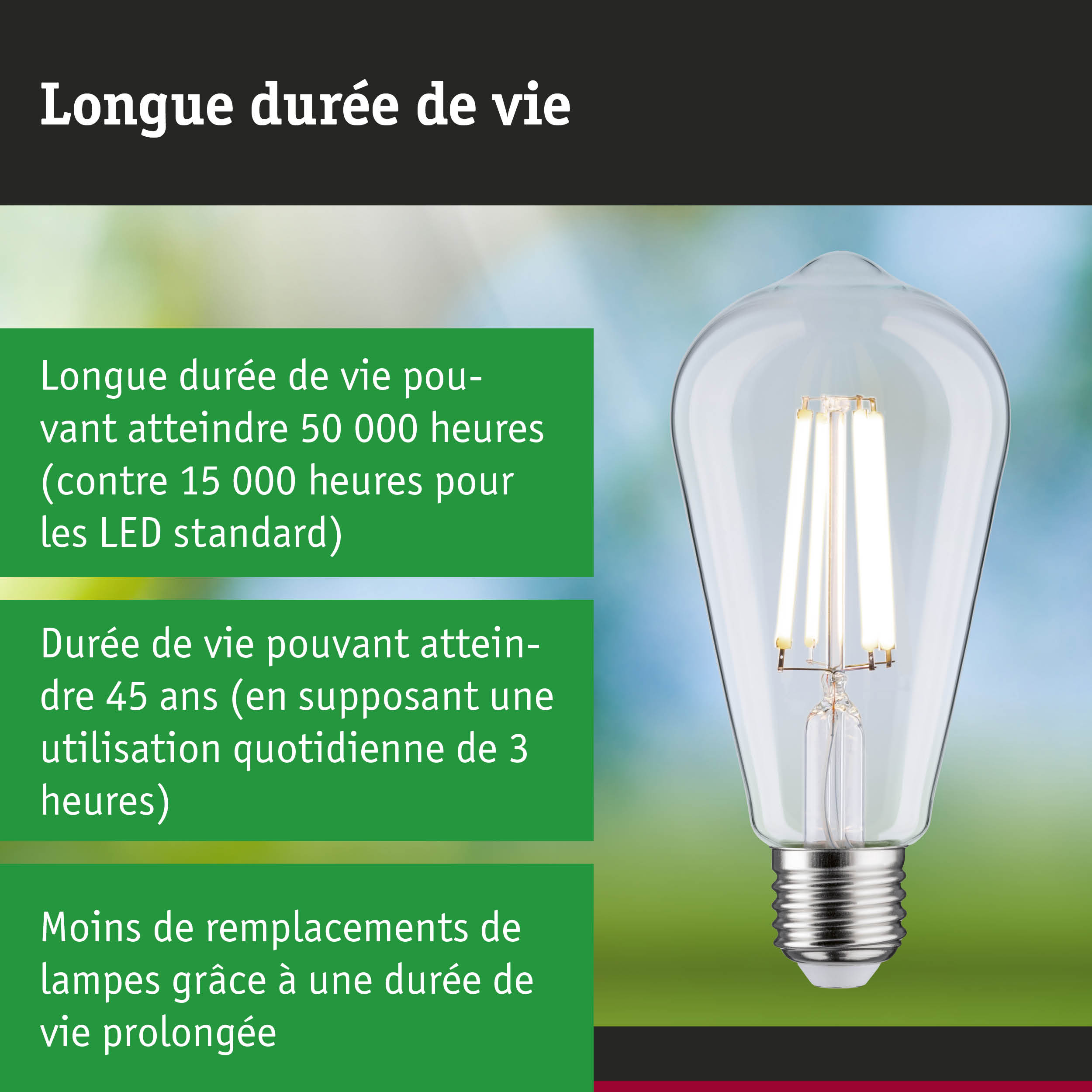 Ampoule LED à longue durée de vie tenue en main, lampe LED économique en énergie