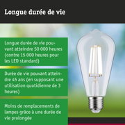 Ampoule LED à longue durée de vie tenue en main, lampe LED économique en énergie