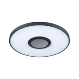 Runde LED-Deckenleuchte mit schwarzem Metallrahmen und weißem Diffusor für moderne Raumbeleuchtung