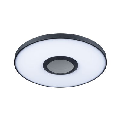 Runde LED-Deckenleuchte mit schwarzem Metallrahmen und weißem Diffusor für moderne Raumbeleuchtung