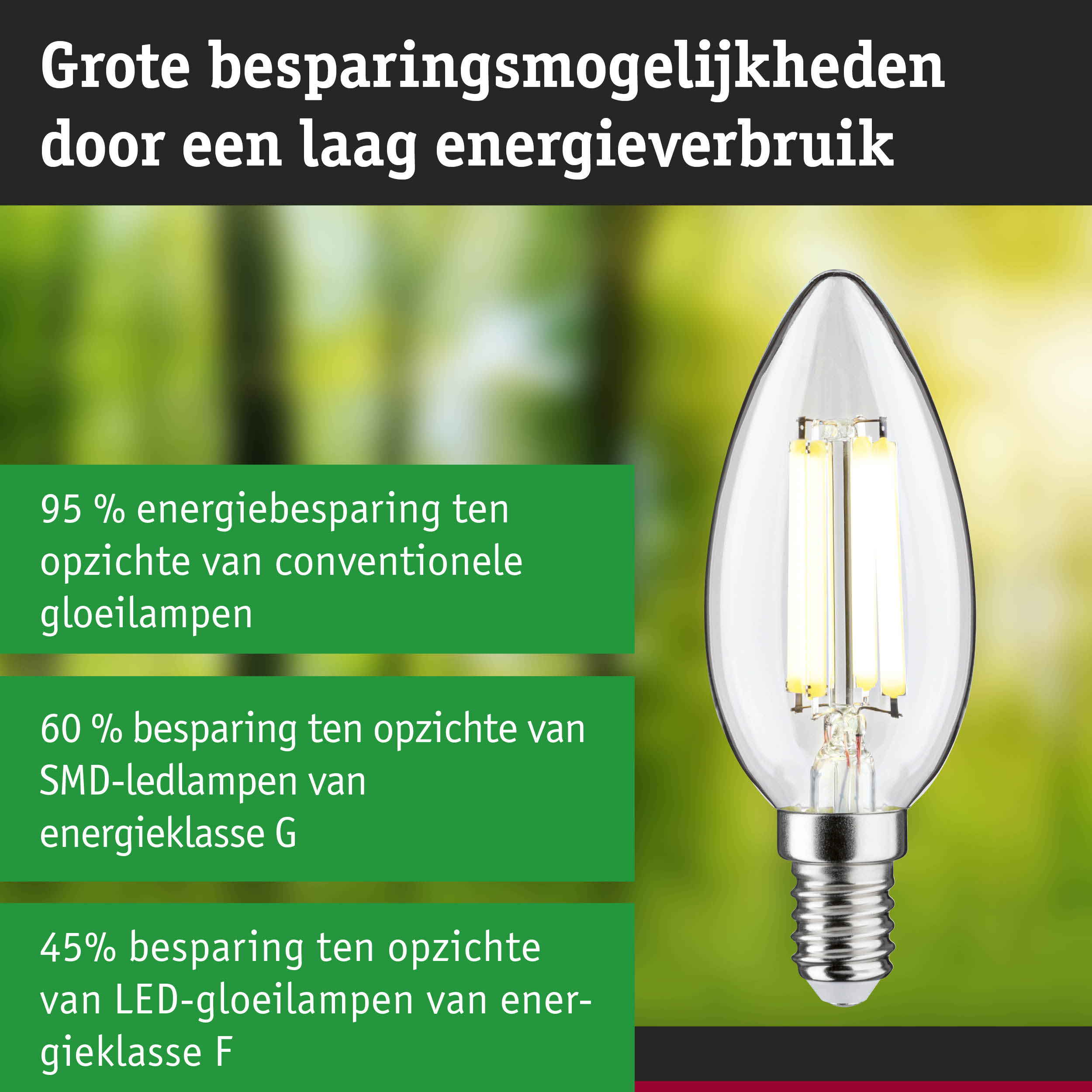 Energiezuinige LED-filamentlamp met helder glas en zilveren fitting voor milieuvriendelijke verlichting