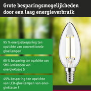 Energiezuinige LED-filamentlamp met helder glas en zilveren fitting voor milieuvriendelijke verlichting