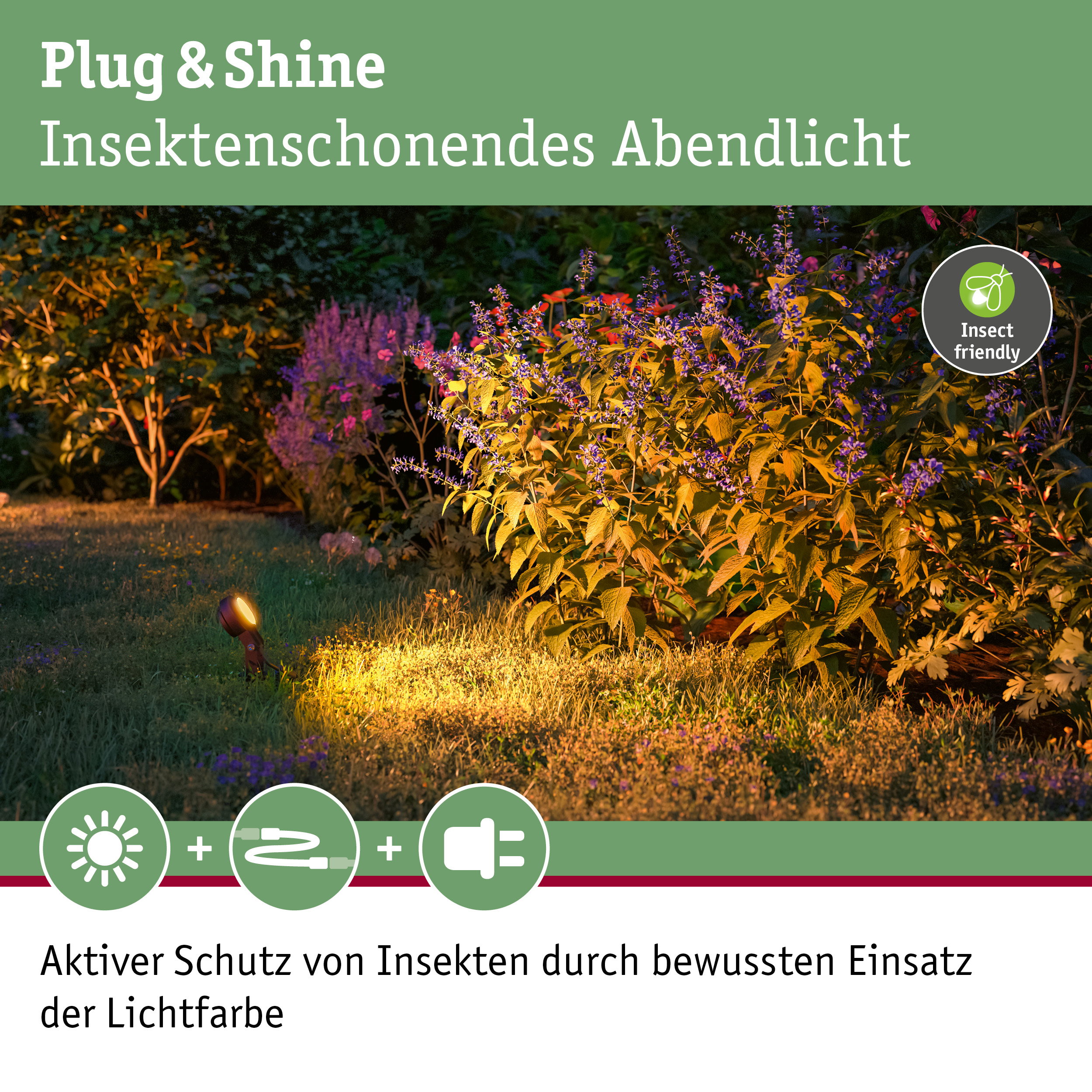 Plug & Shine Gartenstrahler mit insektenfreundlichem warmweißem Licht für schonende Abendbeleuchtung