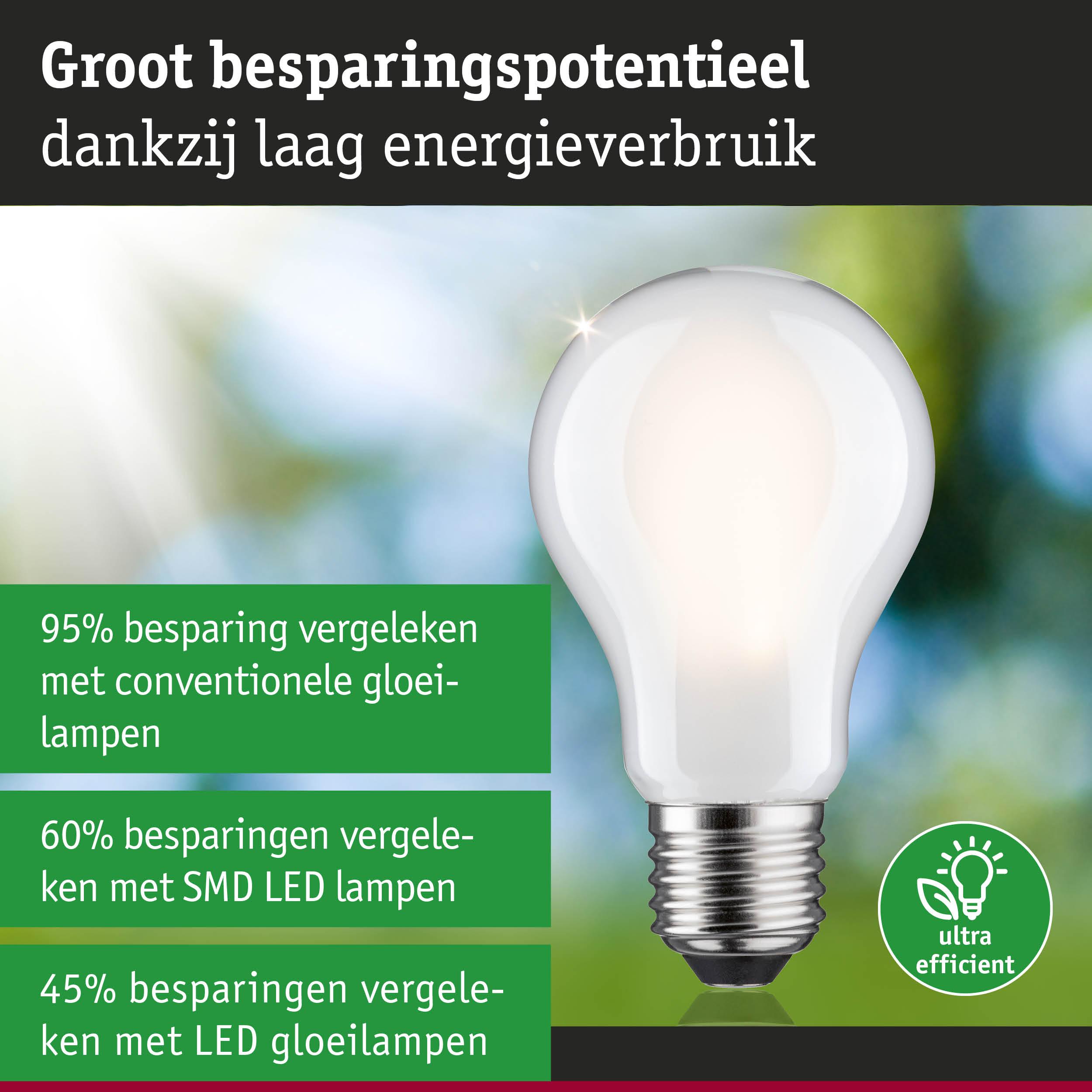 Groot besparingspotentieel met witte LED-gloeilamp en laag energieverbruik voor efficiënte verlichting