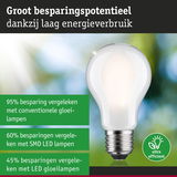 Groot besparingspotentieel met witte LED-gloeilamp en laag energieverbruik voor efficiënte verlichting