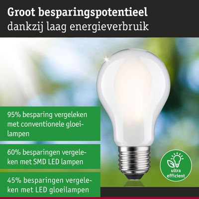 Groot besparingspotentieel met witte LED-gloeilamp en laag energieverbruik voor efficiënte verlichting
