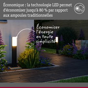 Lampes extérieures LED modernes en métal noir avec lumière blanche chaude le long d'un chemin de jardin