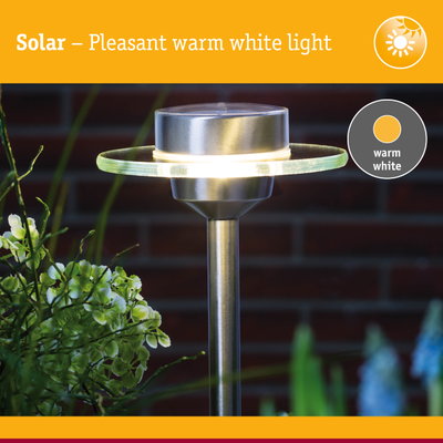 Solar stainless steel garden light with warm white LED for outdoor lighting