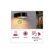 Black LED outdoor wall light with sensor and insect-friendly light for energy-saving garden illumination